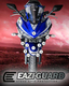 Ochrana kapotáže Yamaha YZF-R3 2015