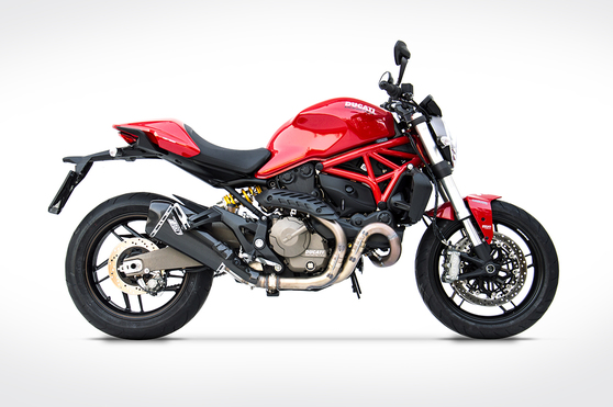 Double Carbon Racing Ducati Monster 821