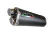 Full system 2-1 Dual Carbon EVO4 Benelli Leoncino 500 2017 - 2019 Benelli Leoncino 500 2017 - 2019