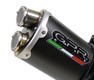 Full system 2-1 Dual Carbon EVO4 Benelli Leoncino 500 Trail 2017 - 2019 Benelli Leoncino 500 Trail 2017 - 2019