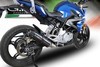 Full system 2-1 PANDEMONIUM FULL CARBON BMW G 310 R / GS 2017 - 2019 BMW G 310 GS 2017 - 2019