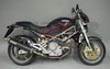 Race-tech - Karbon (Bassa) Ducati Monster S4 2001 - 2003
