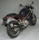 Race-tech - Karbon (Bassa) Ducati Monster S4 2001 - 2003