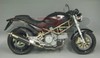 Race-tech - Karbon (Bassa) Ducati Monster 695 2002 - 2006