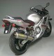 Race-tech - Karbon Honda CBR 600 F 2001 - 2007