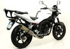 Street thunder - Titan (Karbonová krytka) Hyosung Comet GT 250  2008 - 2011