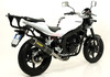 Street thunder - Karbon (Karbonová krytka) Hyosung Comet GT 250  2008 - 2011