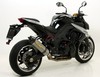 Race-tech - Titan (Karbonová krytka) Kawasaki Z 1000 2010 - 2012