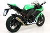 GP2 Kawasaki ZX-10R Ninja 2008 - 2010