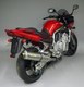 Race-tech - Karbon Yamaha FZS 1000 Fazer  2001 - 2005