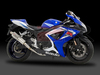 Tri-Oval (Karbon) Suzuki GSX-R 600 2006 - 2007