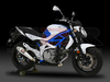 Tri-Cone (Nerez) Suzuki GLADIUS 650 2009 - 2013