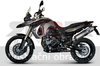 Oval - Stainless steel BMW F 650 GS 2009 - 2012