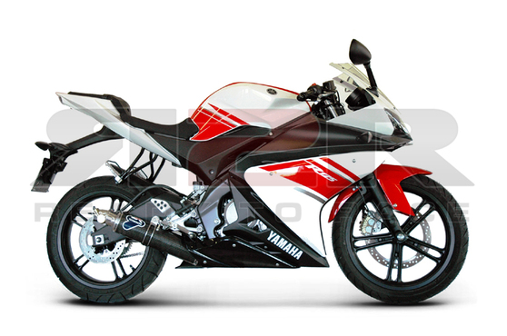 Výfukový systém (Nerez/Karbon 94dB) Yamaha YZF-R125 2008 - 2013