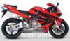 Racing Line (Karbon)  Honda CBR 600 RR 2005 - 2006