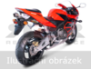 Racing Line (Karbon)  Honda CBR 600 RR 2005 - 2006