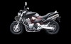 Slip-on Line (Titan)  Honda Hornet 900 2002 - 2006