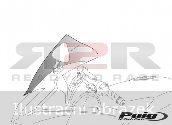 Racing  Ducati 1199 Panigale R 2012 - 2014