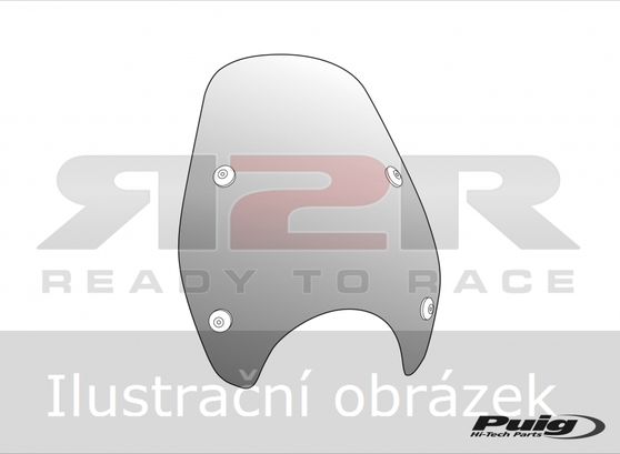 Custom I  Ducati Monster 1100 2009 - 2013